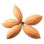 Amaretto