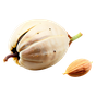 Ambrette
