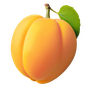 Aprikose