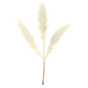 Artemisia