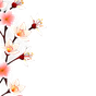 Blüten