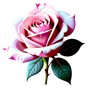 Damaszener Rose