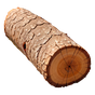 Eiche