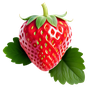 Erdbeere