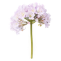 Galbanum