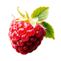 Himbeere
