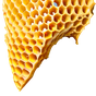 Honigwabe