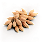 Kümmel
