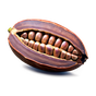 Kakao
