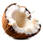 Kokosnuss