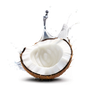 Kokoswasser