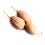 Koriandersamen