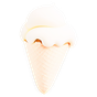 Kulfi