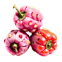 La-Réunion-rosa Pfeffer