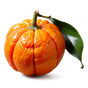 Mandarine