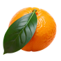 Mandarinorange