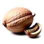 Muskatnuss