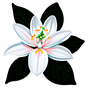 Neroli
