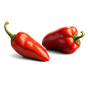 Paprika