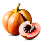 Sapote
