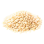 Sesam