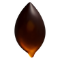 Tannenbalsam Absolue