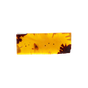 Tolubalsam