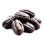 Tonkabohne