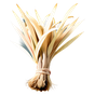 Vetiver