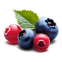 Wildbeeren