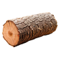 Zedernholz