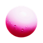 Zistrose Absolue
