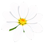 blumige Noten