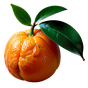 grüne Mandarine