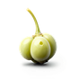 grüner Pfeffer