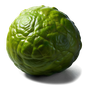 indonesische Kaffernlimette