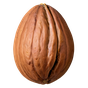 indonesischer Muskat