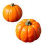 italienische Mandarine