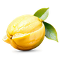 italienische Zitrone