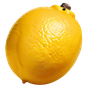 kalabrische Zitronatzitrone