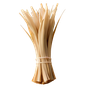 madagassisches Vetiver