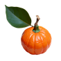 rote Mandarine