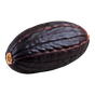 venezolanische Tonkabohne Absolue Orpur®