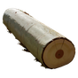 weiße Hölzer