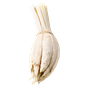 weißes Vetiver